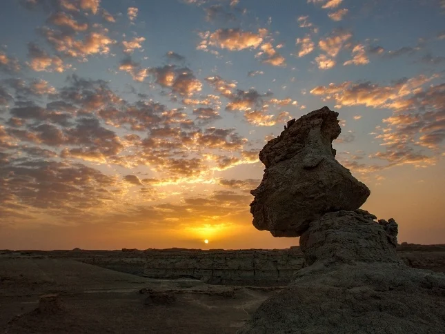 ��λ�Ϻ���Ӱ���뽮48�Σ��ɾ���һ����˿·�½���