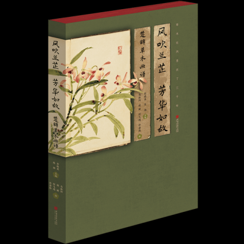 �����������������˳��ǵ�ǧ��ҷ�