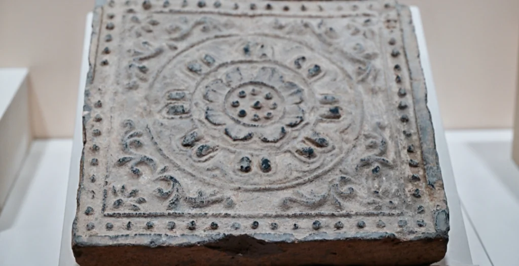 ������ש